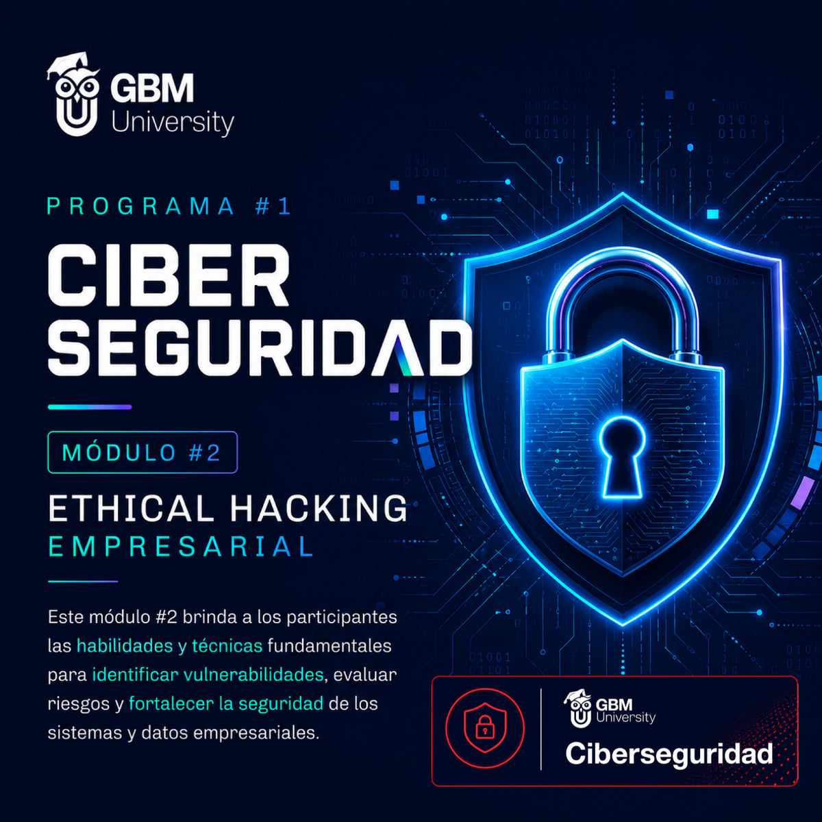 Programa #1 Ciberseguridad Módulo #2 Ethical Hacking Empresarial