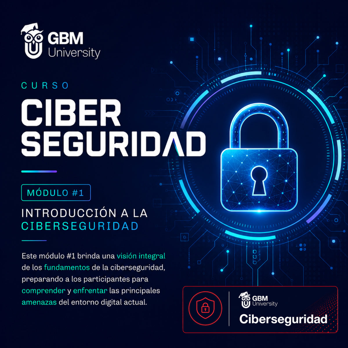 Programa #1: Ciberseguridad Módulo #1 Introducción a la ciberseguridad